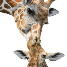 Cross stitch pattern: #1672317