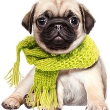 Cross stitch pattern: #1676457