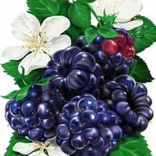 Cross stitch pattern: #1676704