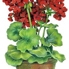 Cross stitch pattern: #1676708