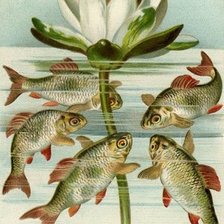 Cross stitch pattern: #1676783