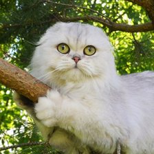 Cross stitch pattern: #1676878