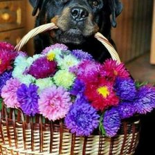 Cross stitch pattern: #1677804