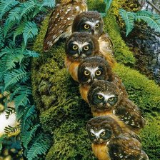 Cross stitch pattern: #1680165