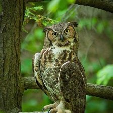 Cross stitch pattern: #1680168