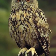 Cross stitch pattern: #1680169