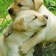 Cross stitch pattern: #1680189