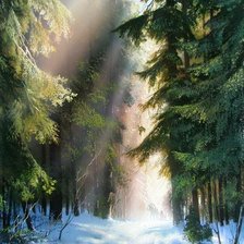Cross stitch pattern: #1682245