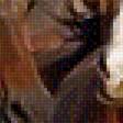 Preview of cross stitch pattern: #1682255
