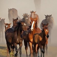 Cross stitch pattern: #1682255