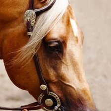 Cross stitch pattern: #1682259