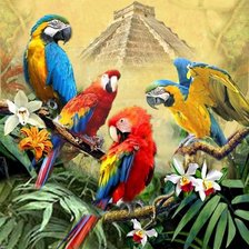 Cross stitch pattern: #1684647