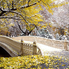 Cross stitch pattern: #1685233