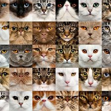 Cross stitch pattern: #1685472