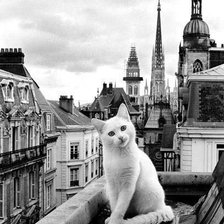 Cross stitch pattern: #1688333