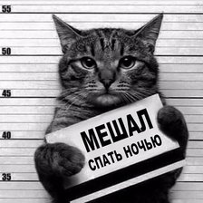 Cross stitch pattern: #1690241