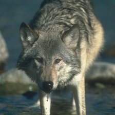 Cross stitch pattern: #1690558