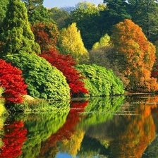 Cross stitch pattern: #1692364