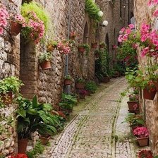 Cross stitch pattern: #1694527