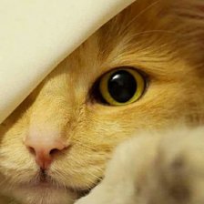 Cross stitch pattern: #1696696