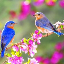 Cross stitch pattern: #1697541