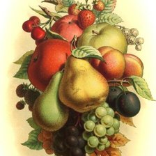 Cross stitch pattern: #1697871