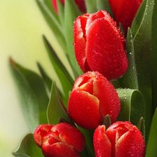 Cross stitch pattern: #1698873