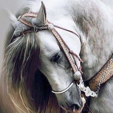 Cross stitch pattern: #1703174