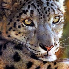 Cross stitch pattern: #1707696