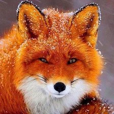 Cross stitch pattern: #1709258