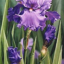 Cross stitch pattern: #1711567