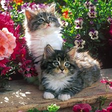 Cross stitch pattern: #1714966