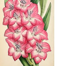 Cross stitch pattern: #1716320