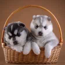 Cross stitch pattern: #1722935