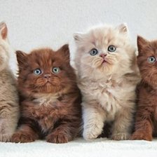 Cross stitch pattern: #1722937