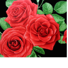 Cross stitch pattern: #1723112