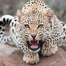Cross stitch pattern: #1723967