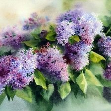Cross stitch pattern: #1724558
