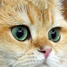 Cross stitch pattern: #1724651