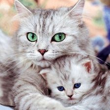 Cross stitch pattern: #1725560