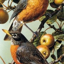 Cross stitch pattern: #1730742