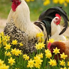 Cross stitch pattern: #1732836