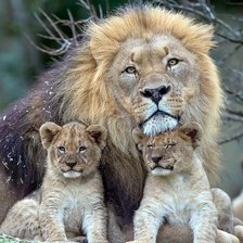 Cross stitch pattern: #1736218
