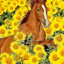 Cross stitch pattern: #1736724