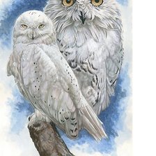 Cross stitch pattern: #1742026