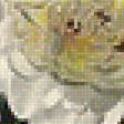 Preview of cross stitch pattern: #1749110