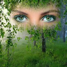 Cross stitch pattern: #1756674