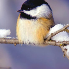 Cross stitch pattern: #1758949