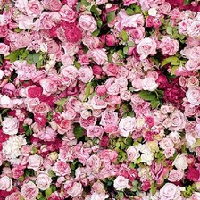 Cross stitch pattern: #1763430