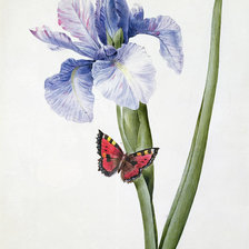 Cross stitch pattern: #1768192